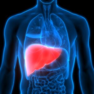 Intermediate General Knowledge Quiz Liver