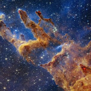 Fursona Quiz Nebula
