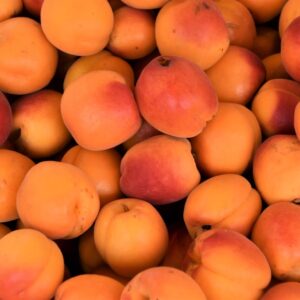 Fruit Trivia Quiz Apricot