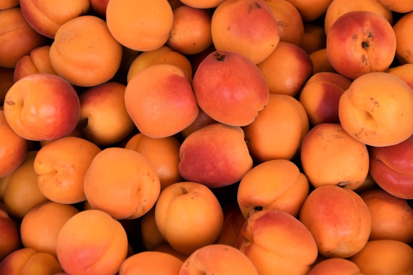Fall-colored Food Quiz Apricot