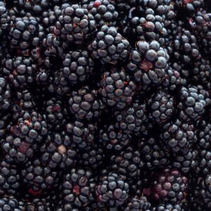 Blue Food Personality Quiz Blackberries