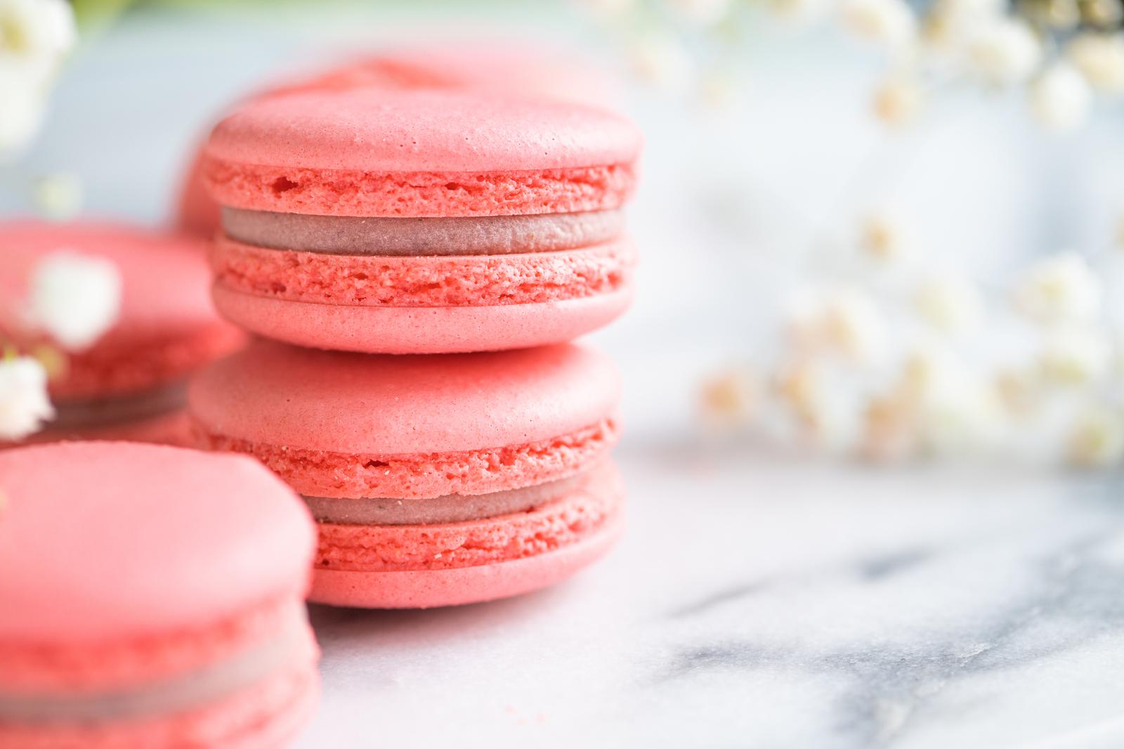 Which Barbie Character Are You Pink Macarons