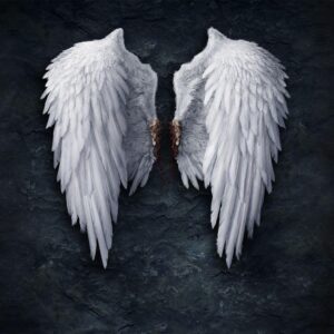 What Urban Legend Creature Are You? Quiz Wings