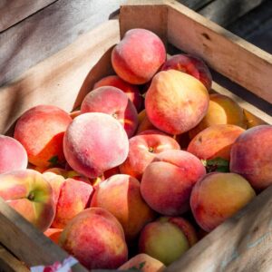 What Spring Flower Are You? Quiz Peaches