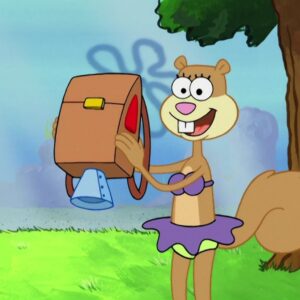 What Type Of Dolphin Are You? Quiz Sandy Cheeks