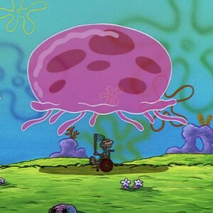 SpongeBob Meme Quiz Studying jellyfish behavior