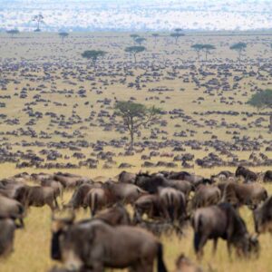 Winter Geography Quiz Kenya