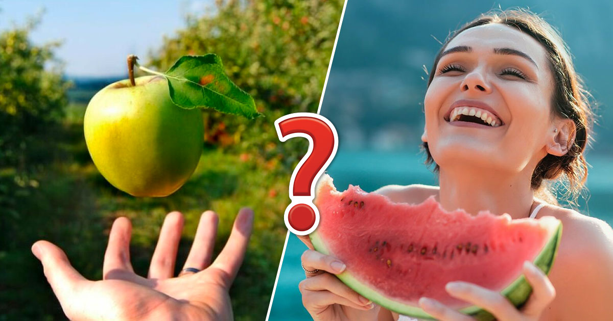 Fruit Trivia Quiz