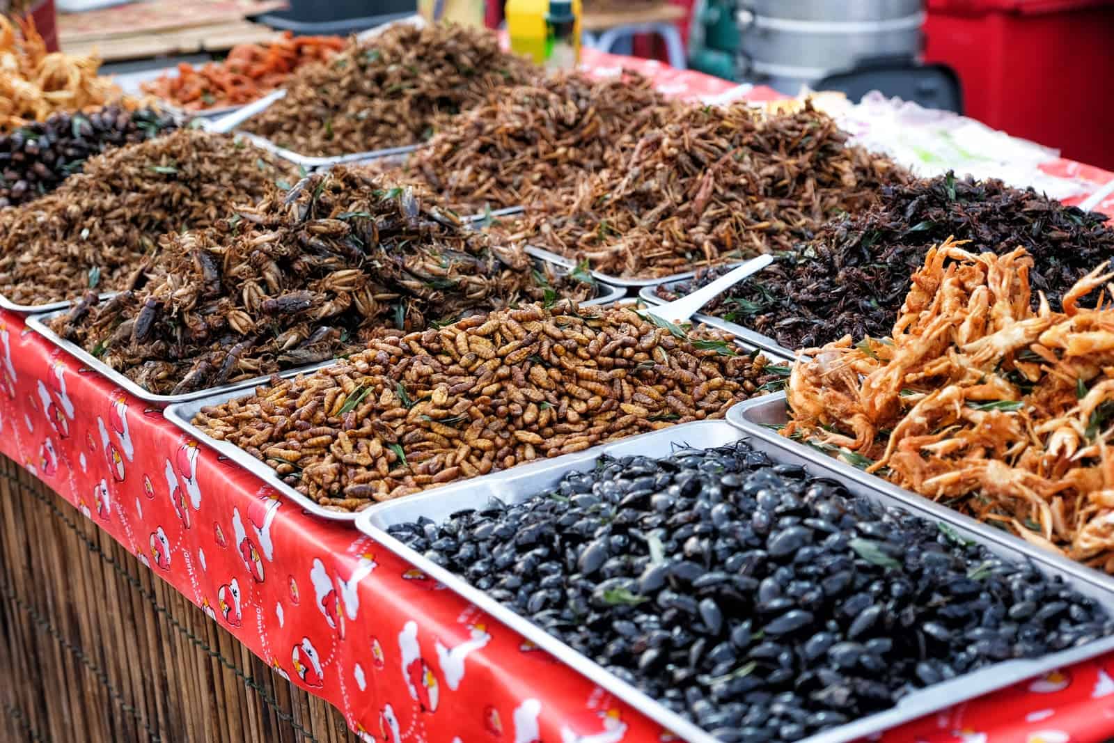 Unconventional Food Personality Quiz Fried insects street food
