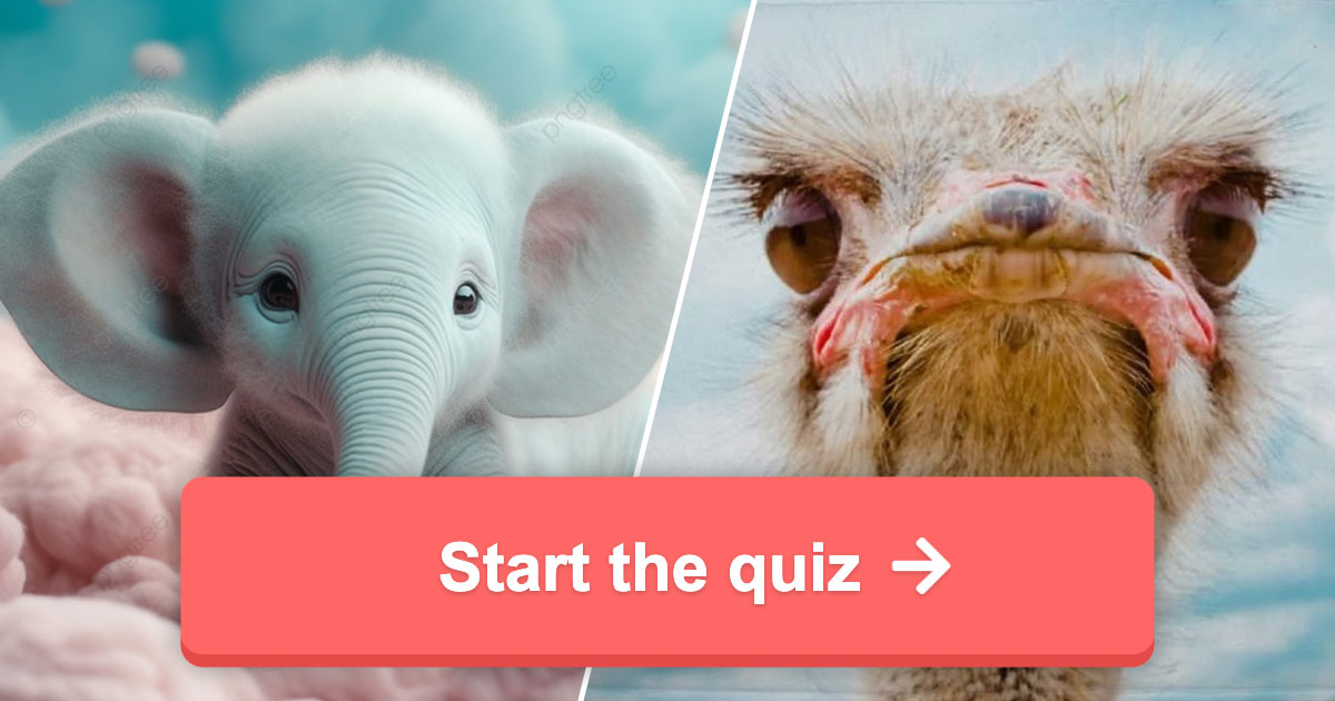 Can You Name The Second Largest Animals Quiz can-you-name-the-second-largest-animals-quiz