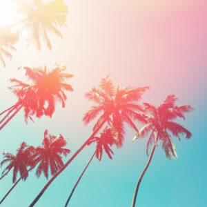 J Trivia Quiz June
