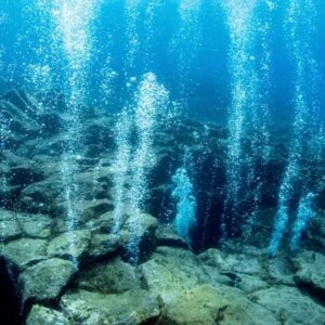 Sea Trivia Between rocks on the ocean floor