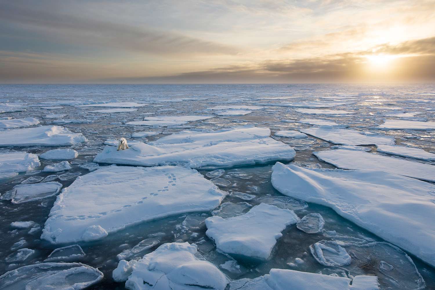 Ocean Or Sea Trivia Quiz Arctic Ocean
