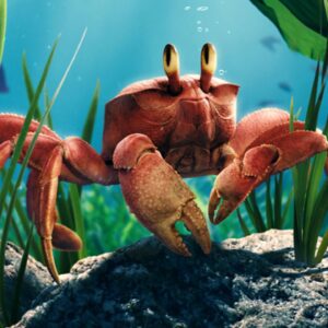 What Element Am I? Quiz Crab
