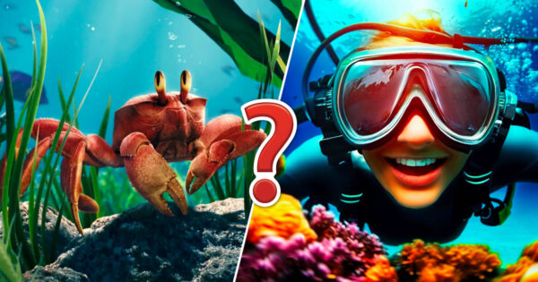 90% Will Fail this Epic Underwater Trivia Adventure Quiz 🌊 – Will You Sink or Shine?