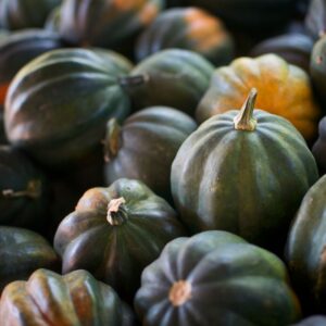 Fall Food Trivia Acorn squash