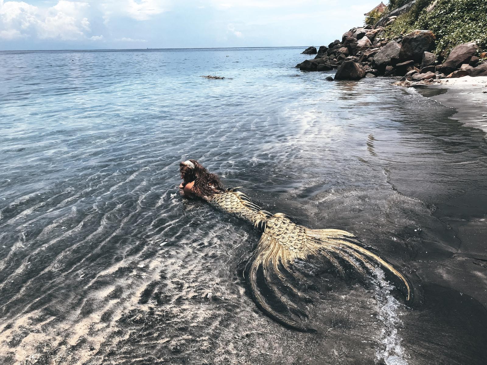 What Type Of Dolphin Are You? Quiz Mermaid