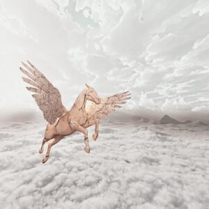 Foods Named After Animals Quiz Pegasus
