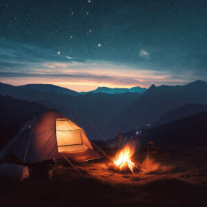 Which Bear Breed Are You? Quiz Camping