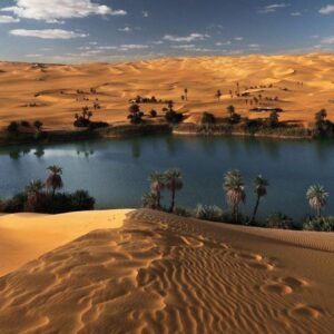 Desert Trivia Quiz Libyan Desert