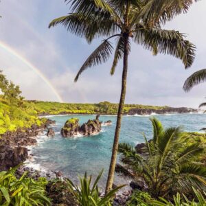 Beach Vacation Trivia Quiz Maui