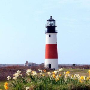 What Element Am I? Quiz Lighthouse