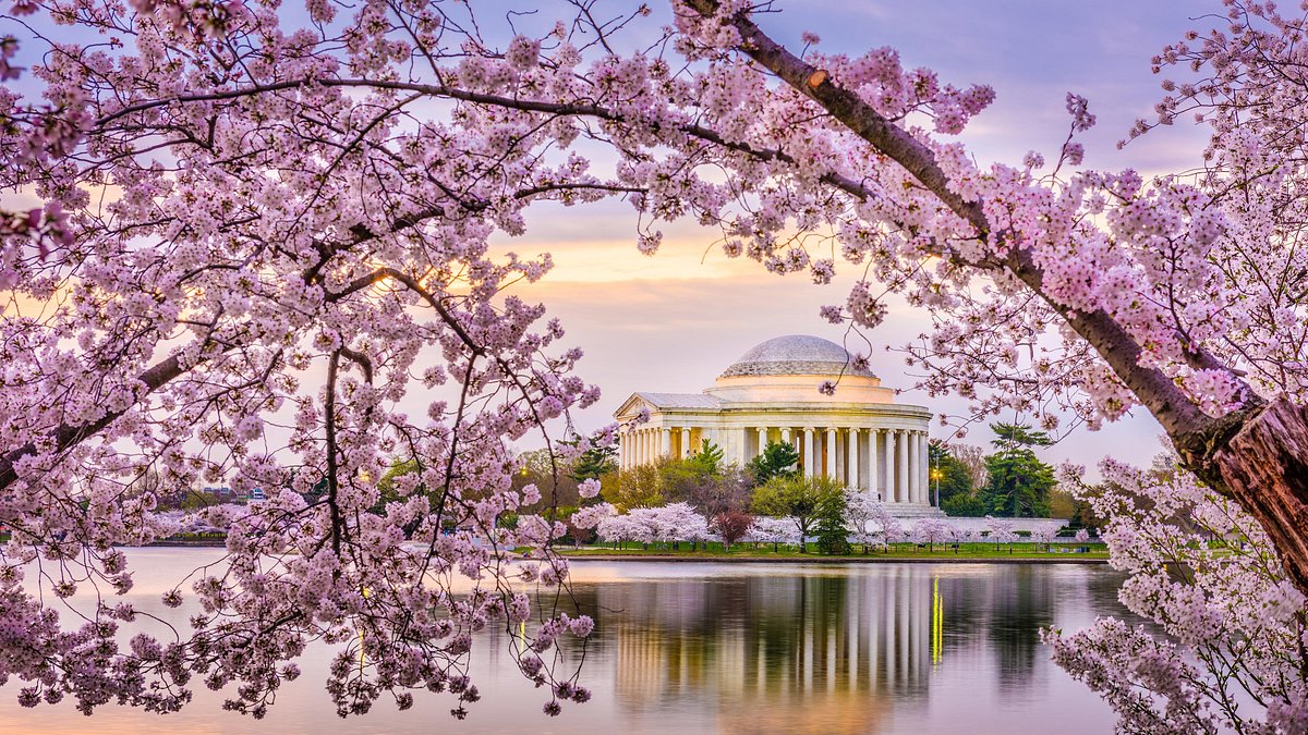 North American Countries Quiz Thomas Jefferson Memorial in spring, Washington, D.C., United States