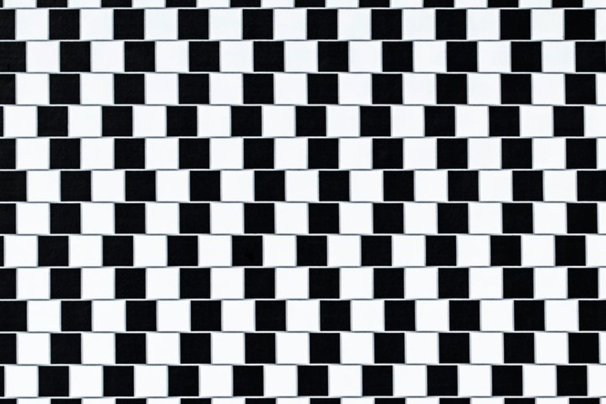What You See First in These Images Will Determine If You’re an Optimist or a Pessimist Lines optical illusion