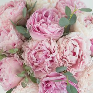 Are You Sweet, Sour, Spicy, Or Umami? Quiz Peonies