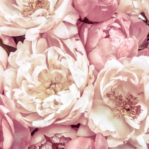 This Calming Quiz Will Tell You What You Need To Hear RN White peonies