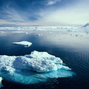 Arctic Vs Antarctic Antarctic