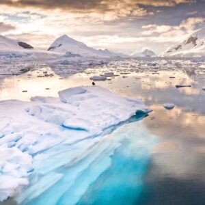 June Trivia Quiz The Antarctic