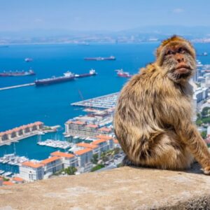 Summer Geography Quiz Gibraltar