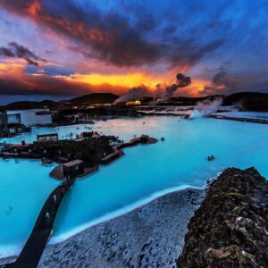What Type Of Dolphin Are You? Quiz Iceland