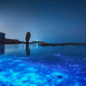 Beach Vacation Trivia Quiz It has bright bioluminescent plankton at night