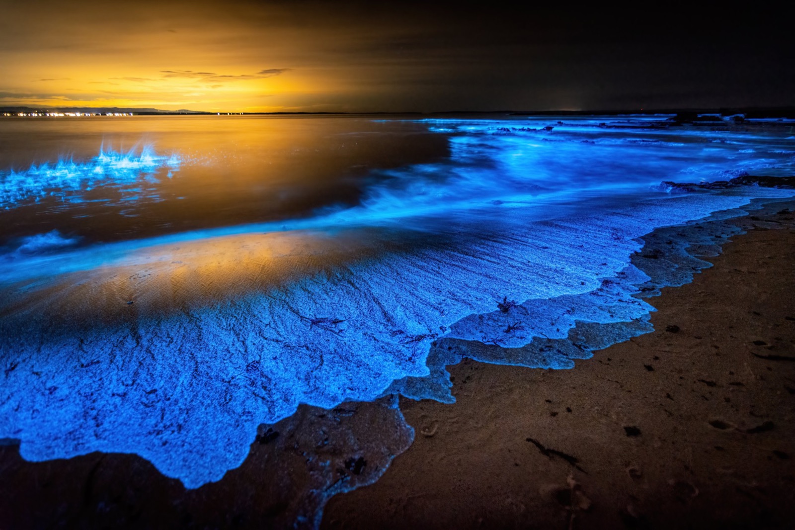 Blue Places Bioluminescent beach