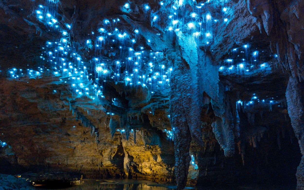 Blue Places Waitomo Glowworm Caves, New Zealand