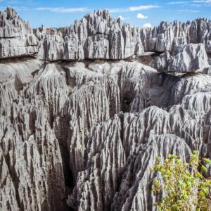 Travel Around World To See Country You Should Move To Quiz Madagascar
