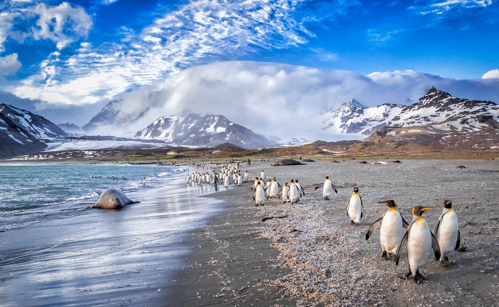 Ocean Or Sea Trivia Quiz South Georgia