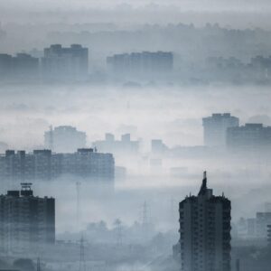 Are You A Sunbeam, Moonlight, Starlight, Or A Shadow? Quiz Foggy