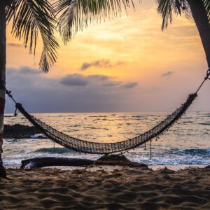 Which Part Of The US Are You From? Lounging in a hammock