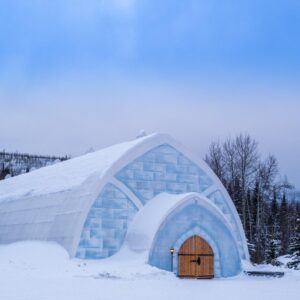 Which Bear Breed Are You? Quiz Igloo
