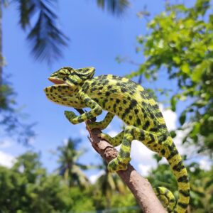 World Animal Day Quiz Iguana
