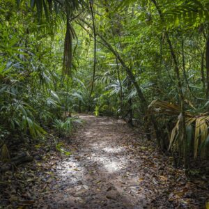 Guess The Disney Movie Titles Quiz Jungle