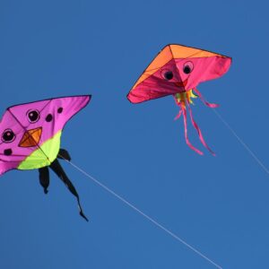 Fall Activities Quiz Fly a kite