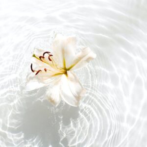 December Trivia Quiz Lily