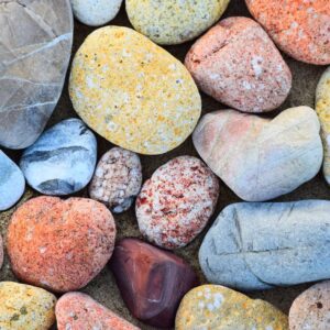 Five Senses Quiz Smooth pebble