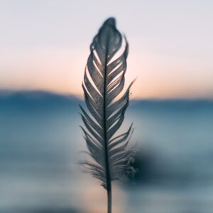 This Calming Quiz Will Tell You What You Need To Hear RN A feather