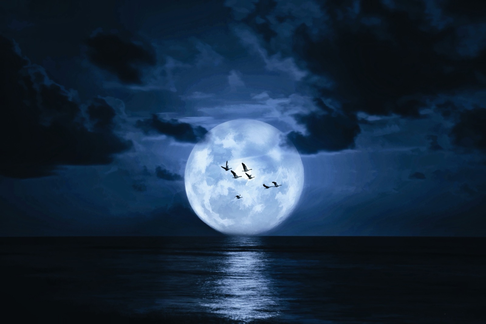 Which Moon Phase Are You? Quiz Moonlight at night