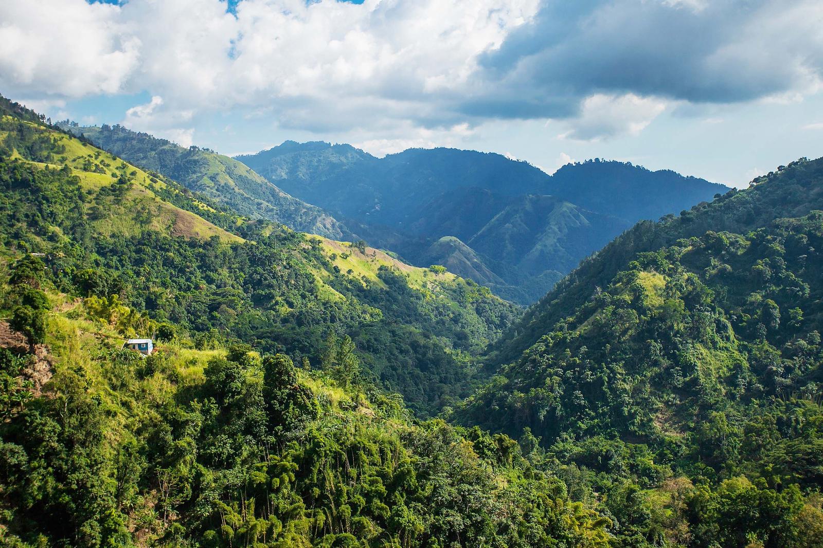 Blue Mountains, Jamaica